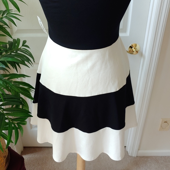 (SOLD) MOD Striped Tube Fit & Flare Mini Dress - Picture 7 of 9